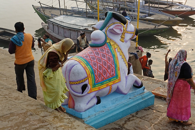 Varasani-Promenade sur le Gange-093